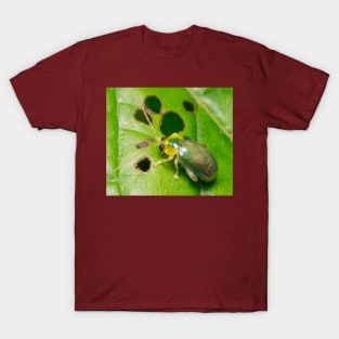 Unique and organic photo of a leaf beetle T-Shirt